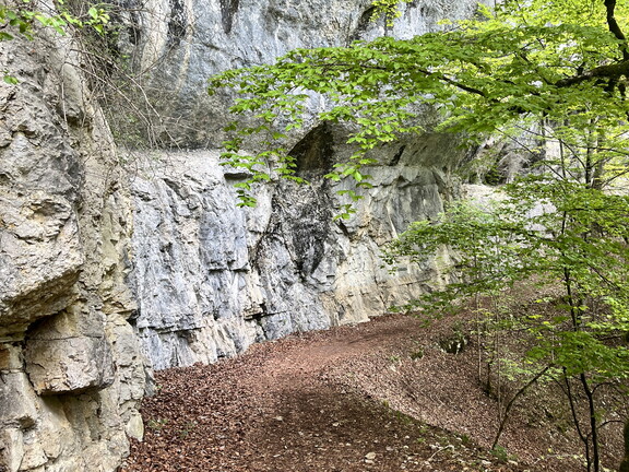 23-05-20 10-51-38 5478